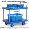 Xe đẩy 2 tầng mặt bàn nhựa 250kg