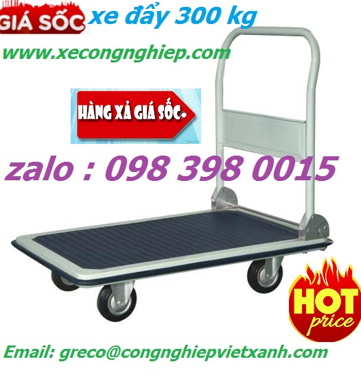 Xe đẩy hàng 300kg